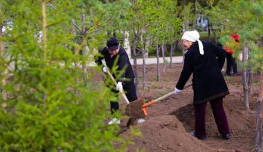 Народное участие, или Как в Астане микрорайоны благоустраивают и озеленяют