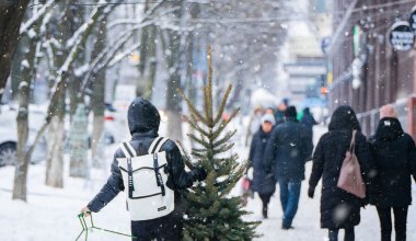 Стало известно, сколько потратили на новогодние украшения в Алматы