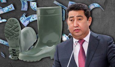 Кто раньше встал, того и тапки, или Как ветеринары Минсельхоза за бюджетные миллионы спецобувь покупают