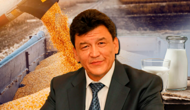 Молоко, зерно и труба, или Почему аким СКО не сомневается в обещаниях Клебанова
