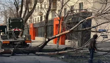 Жители Тараза остались без электричества из-за урагана