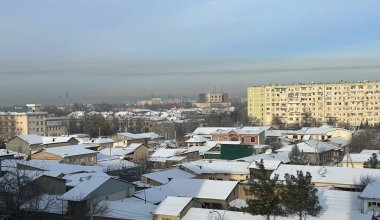 Основная ставка, теплицы и загрязнение воздуха: обзор узбекской прессы