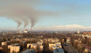Закон о статусе педагога и штраф ТашГРЭС за загрязнение воздуха: обзор узбекской прессы