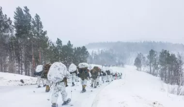 Почему Швеция направляет войска в Латвию