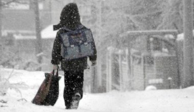 В каких городах Казахстана школьников перевели на дистанционку