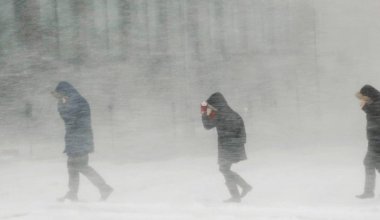 В Абайской области ввели режим ЧС