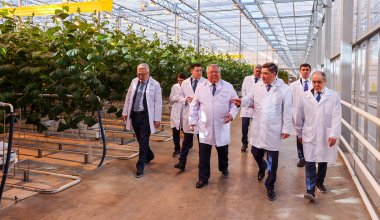 Больше 800 млрд на поддержку: как развивают сельское хозяйство в ЗКО
