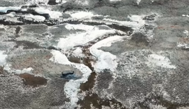 Видео шокировало Казнет: Каспийское море продолжает мелеть