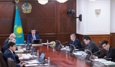 Пересмотреть поддержку со стороны «Байтерека» поручил Бектенов