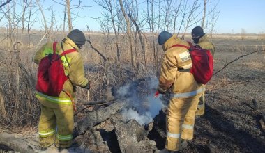 Пожар в лесничестве в Атырауской области не могут потушить вторые сутки
