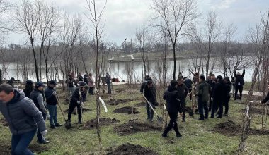 Как в Алматы прошла экоакция «Тазару»
