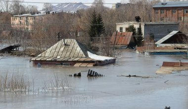 Кошанов заявил депутатам, что нужно выезжать в регионы, а не вести разговоры о паводках