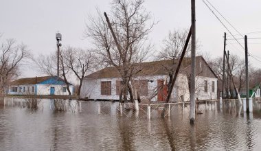 Акимы четырёх областей рассказали Токаеву о ситуации с паводками в регионах