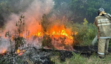 В мае и июне в Казахстане прогнозируют высокую пожарную опасность