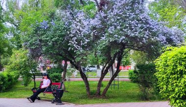 Какой будет погода в Казахстане в мае