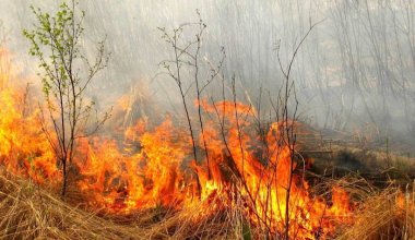 В каких регионах Казахстана сохраняется пожарная опасность