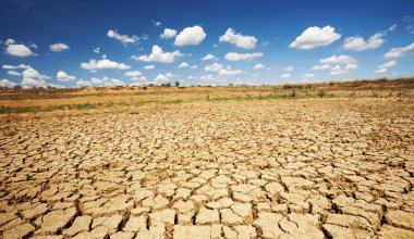 Засуха ожидается в трёх областях Казахстана