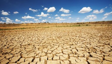 В каких регионах Казахстана ожидается засуха