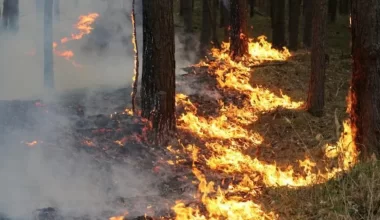 Пожарная опасность сохраняется на большей части Казахстана