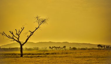 Апрель 2024 года был самым жарким за всю историю наблюдений