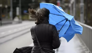 В Казахстане ожидаются заморозки и сильный ветер