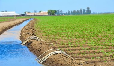 922 млн кубометров воды направит Узбекистан Казахстану