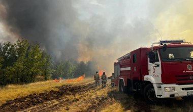 Более 70% пожарных машин в лесных хозяйствах Казахстана подлежат списанию