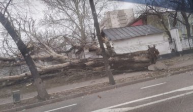 Алматинцы получили важное предупреждение от ДЧС