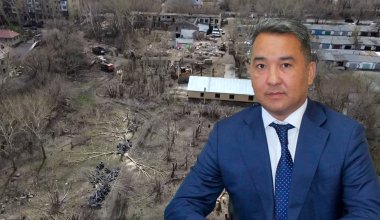 Беспредел в законе, или Почему аким Караганды незаконные стройки и вырубки видит, но запретить не может