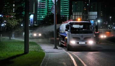 Повышает риск рождения детей с аутизмом: эксперт об обработке насекомых в Астане