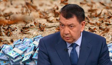 На борьбу с саранчой просят технику у крестьян