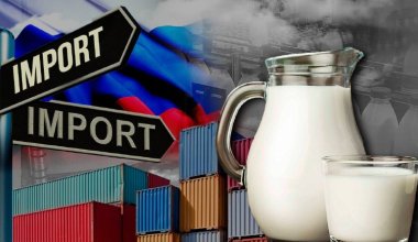 Продлить требования техрегламента по молоку в ЕАЭС предлагает Казахстан