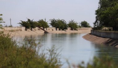 Цены на поливную воду завышали для фермеров в Туркестанской области