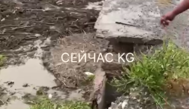Есть погибшие: в Кыргызстане произошел сход селевых потоков