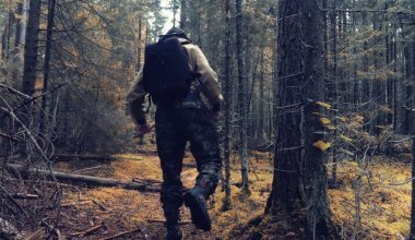 Зарплаты лесничих выросли в Казахстане с 1 июля: выделено 8,5 млрд тенге