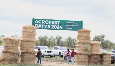 Развитие аграрной отрасли обсудили в рамках фестиваля «Agrofest Batys 2024»