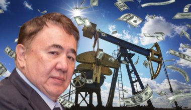 Неприметная деятельность, или Зачем казахстанскому парламенту Институт парламентаризма