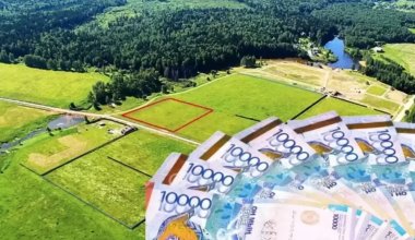 Более 2 млн гектаров земли вернули в собственность Казахстана в 2024 году