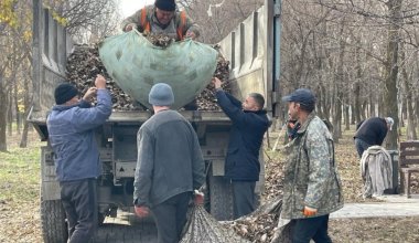 Таза Казахстан - аллею “финансистов” очистили от мусора в Таразе