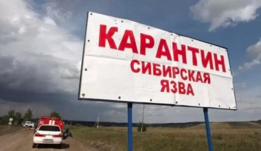 Сибирская язва на рынке Атырау: появились результаты новых проб