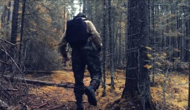 Повысили статус, но не всем: лесники в Акмолинской области остались без зарплат на два месяца