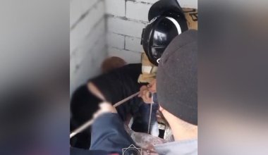 Брат и сестра упали в выгребную яму в Алматинской области