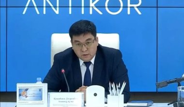 Разыскиваемого брата осуждённого экс-замглавы Антикора Кожабаева задержали