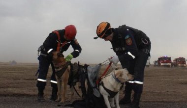 Около 160 выездов совершили казахстанские спасатели в новогоднюю ночь