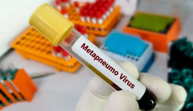 В ЗКО выявили два случая метапневмовируса у детей