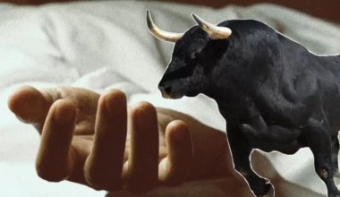 Бык забодал насмерть пастуха в Северо-Казахстанской области