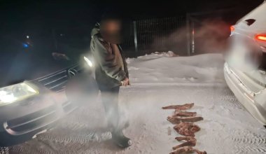 Житель Акмолинской области убил косулю и выбросил шкуру в степь