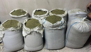 Крупные каналы сбыта наркотиков выявили в Актау и Алматы