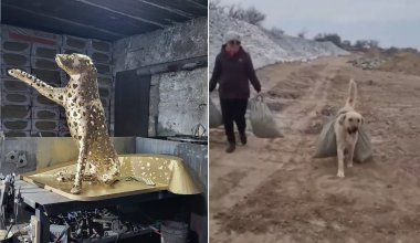 Памятник собаке - неуместно: власти Атырау не поддержали установку арт-объекта в честь Пшөна
