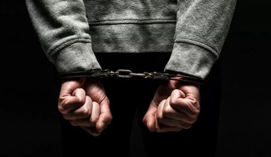 В Казахстан в 2024 году экстрадировали 67 человек из стран ЕС и Азии